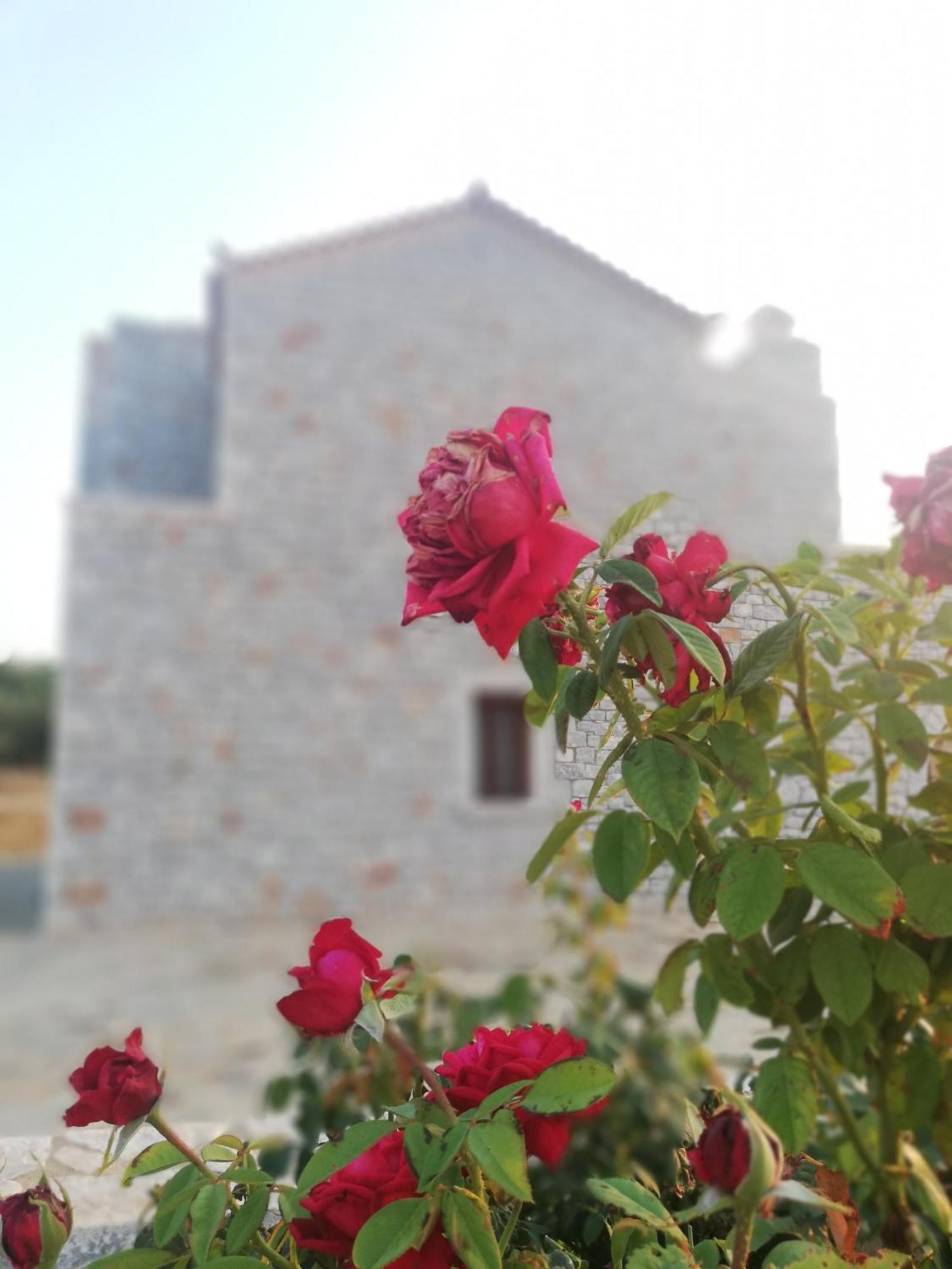 Athevillas Antonis ミナ エクステリア 写真